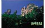 網(wǎng)絡(luò)熱門純玩游：張家界、天子山、袁家界、楊家界 自助三日游