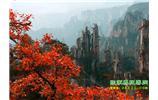 春節(jié)期間：張家界、天子山、金鞭溪自駕車精華精品游