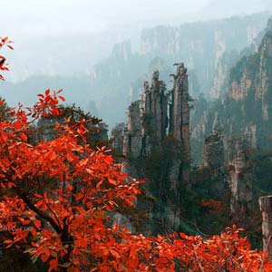 休閑自駕E線：張家界、袁家界、天子山、寶峰湖、鳳凰古城、沱江泛舟四晚五日游