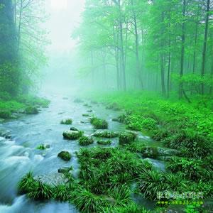 【純玩散拼尊享系列3】張家界、天子山、袁家界、黃龍洞、鳳凰三晚四日游