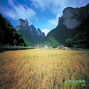 張家界往返純玩散拼：矮寨大橋、德夯苗寨、鳳凰古城、芙蓉鎮(zhèn)二日游