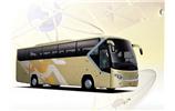 金龍空調旅游車 55座)